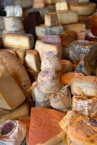 variety of hard cheeses